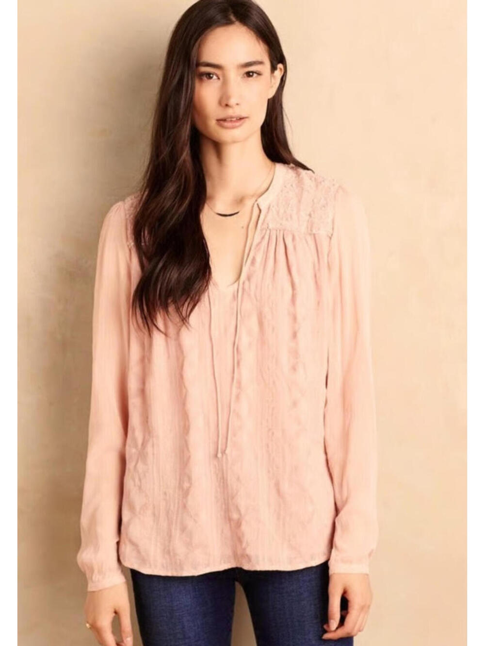 ANTHROPOLOGIE Tiny Embroidered Chiffon Top, NWOT, Size XSl, #2614